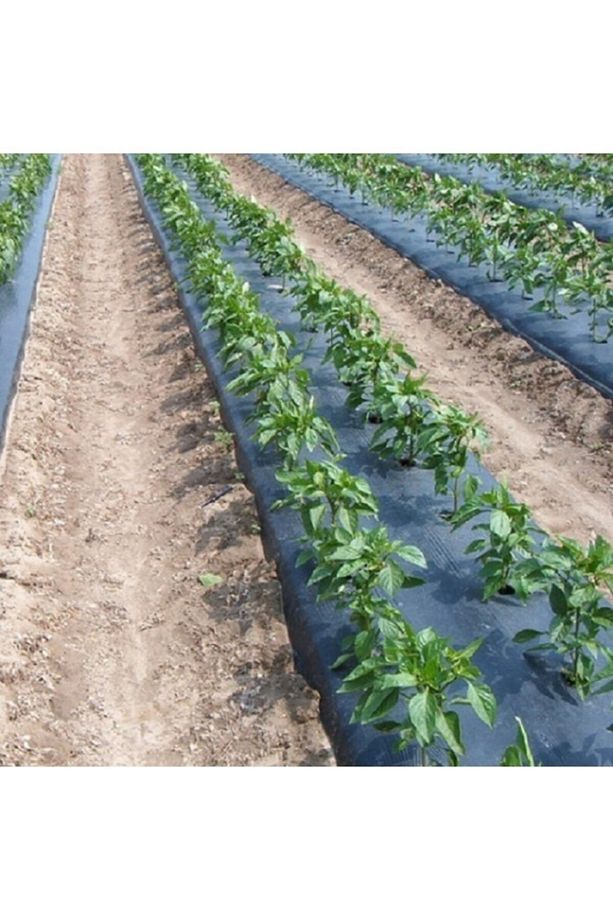 Sebze Naylonu 1.20x75 Metre Domates Naylonu Siyah Malç Naylonu - 1