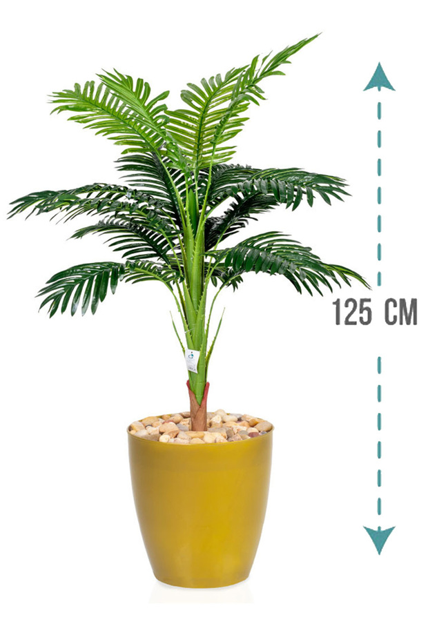 شجر أوراق النخيل بحوض بلاستيك - 1