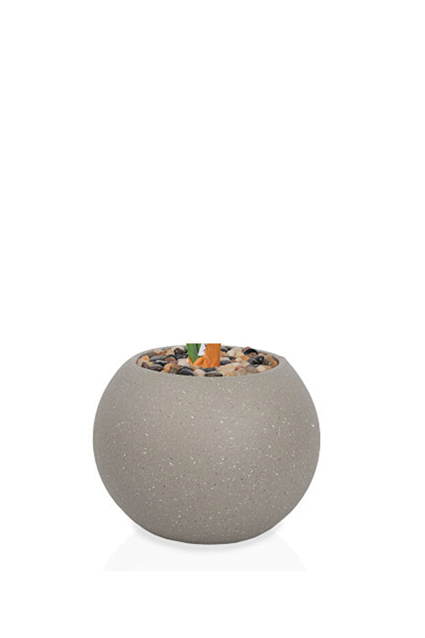 Green corn tree with a round plastic container - 3