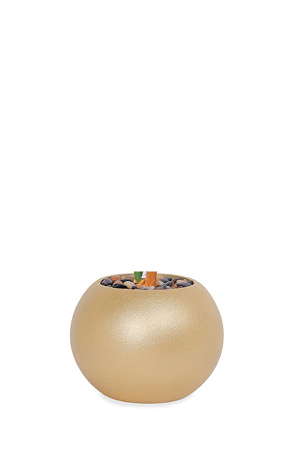 شجرة ذرة داكنة مع حاوية بلاستيكية مستديرة - 3