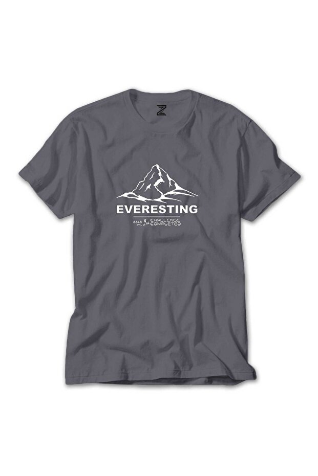 Everesting Gray T-shirt