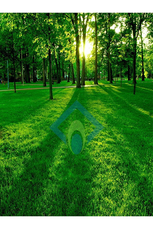 Dark Grass ( 10 Kg ) - 2