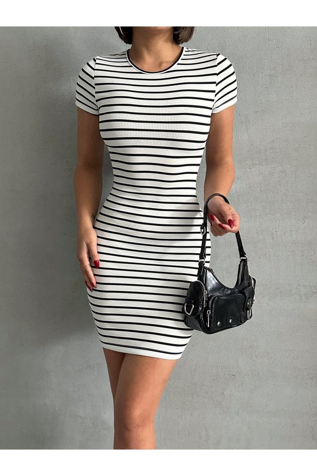 Women's Crew Neck Striped Basic Camisole Mini Dress Zyn-58769