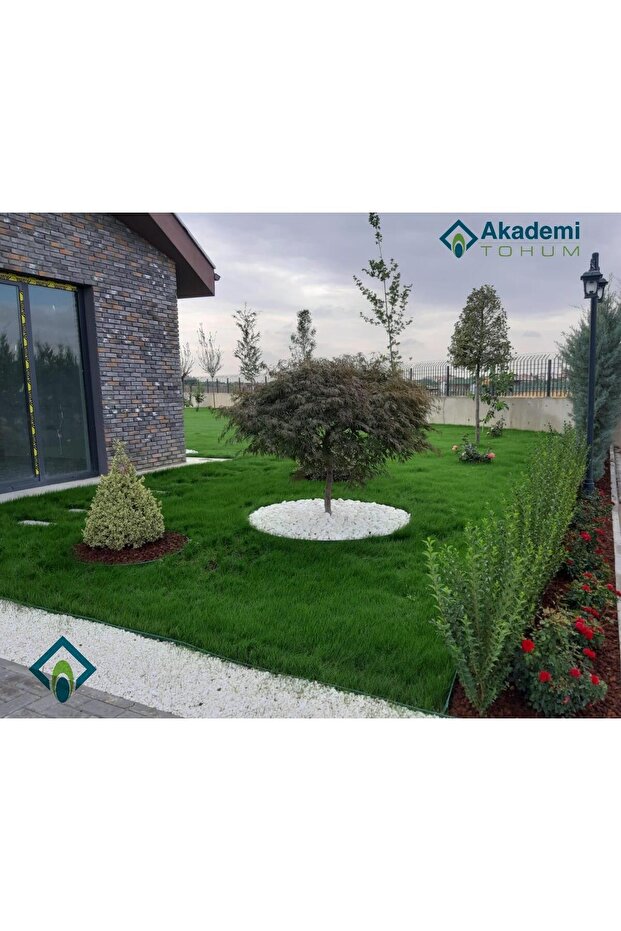 6a Premium ( 10 Kg ) - 4