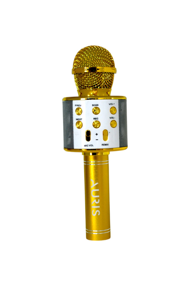 Kareoke Mikrofon - 1