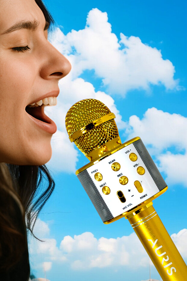 Kareoke Mikrofon - 2