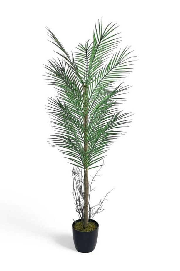 Yapay Ağaç Palmiye 135*50Cm 20Yaprak Areka Ağacı Siyah Saksıda Tek Gövdeli - 1