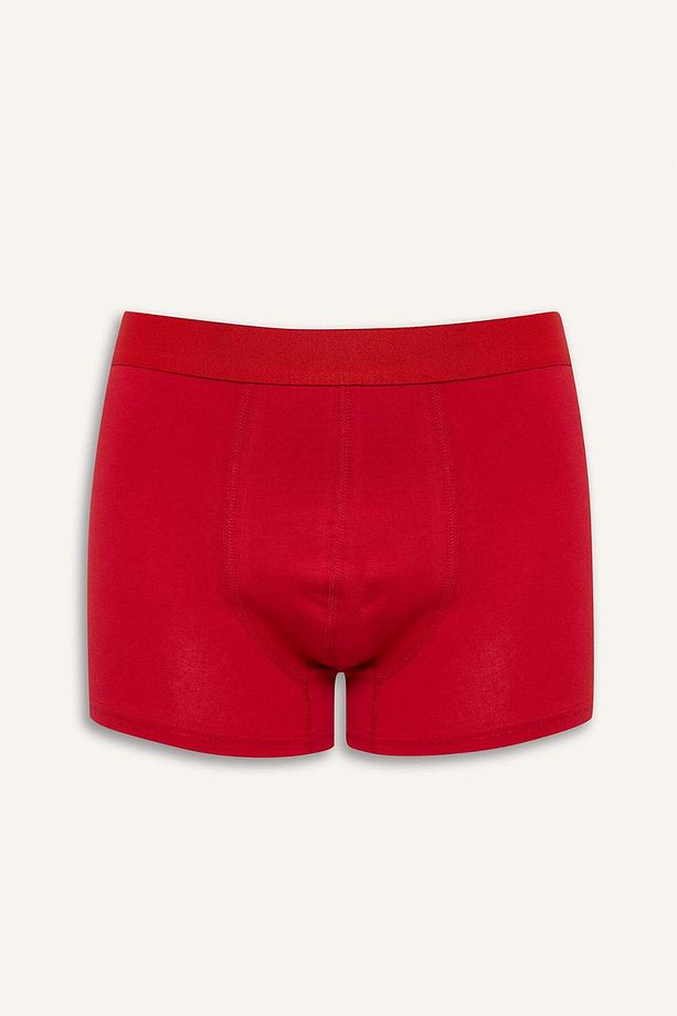 Regular Fit Meyve Desenli 3'lü Boxer E7209ax25sm - 5