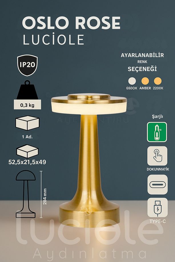 Oslo Gold Şarjlı Dokunmatik Dimlenebilir 3 Renk Masa Lambası - Type-C - 2