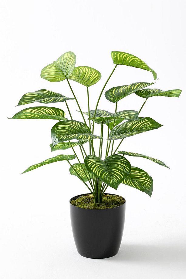 Yapay Salon Köşe Çiçeği Devetabanı Yeşil Sarı 65 Cm - 1