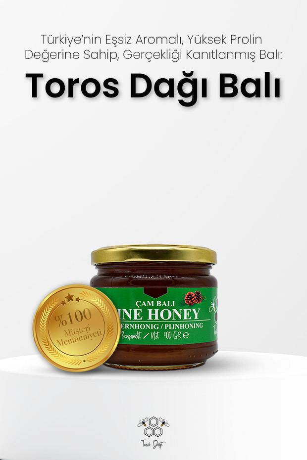Çam Balı 400 gr - 3