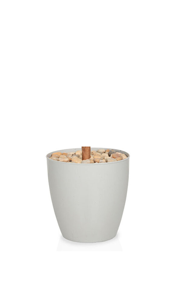 شجر أوراق النخيل بحوض بلاستيك - 3