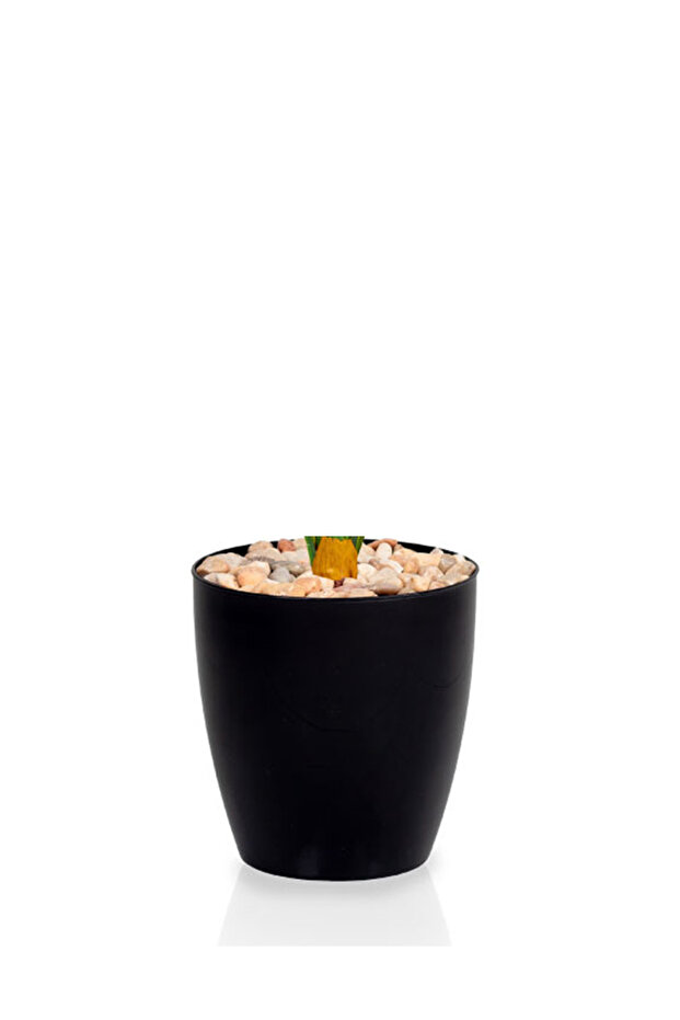 شجرة ورق ذرة فاتح بمركن بلاستيك اسطوانى - 3