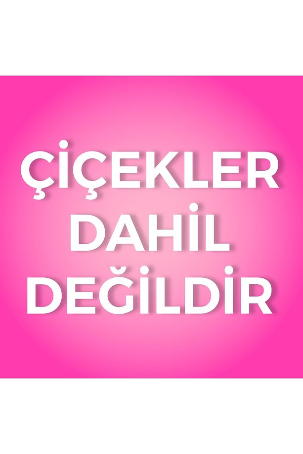 Pembe Duvar Saksısı Dekoratif Duvar Vazosu 2 Adet ( Çiçekler Dahil Değildir ) - 3
