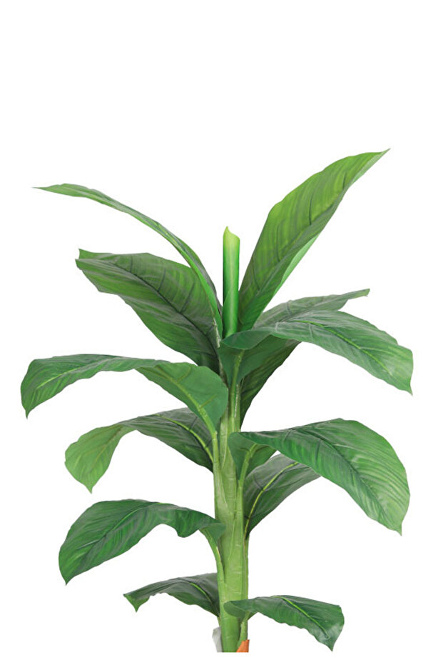 شجر ورق موز حوض بلاستيك - 2