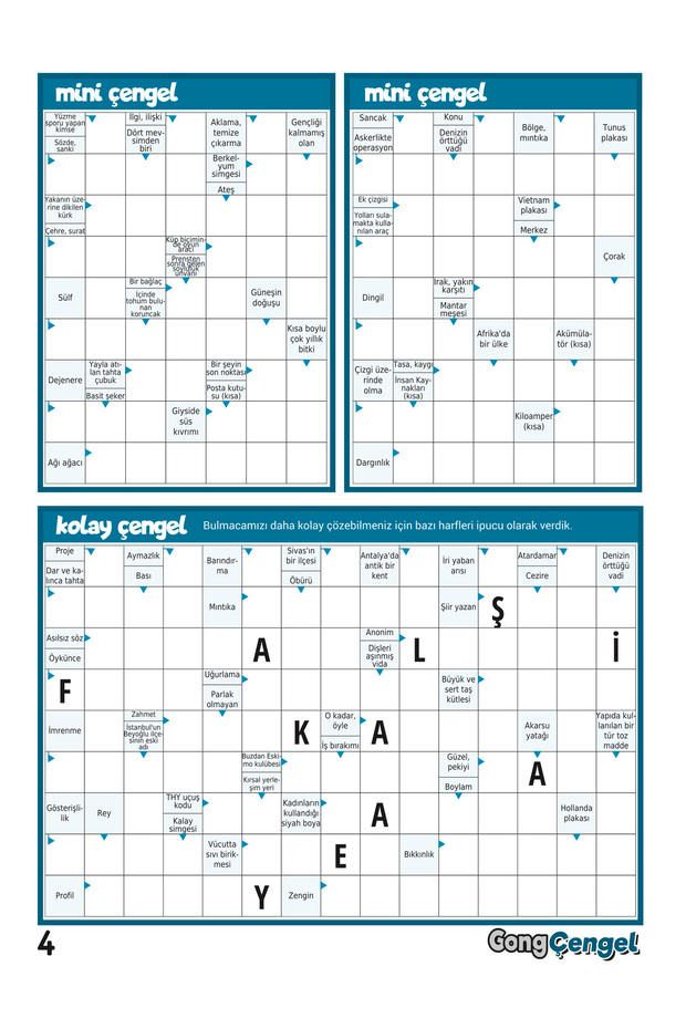 Çengel Bulmaca 10'lu Set-1 - 4
