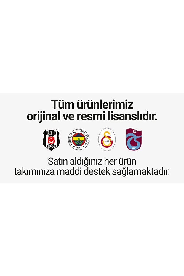 Lisanslı Bileklik - 4