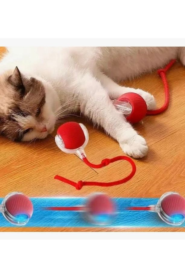 Yeni Nesil Hareketli, Şarjlı Interaktif Akıllı Kedi Köpek Oyuncağı - 2