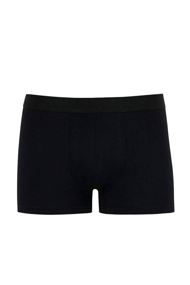 Erkek Boxer - 1
