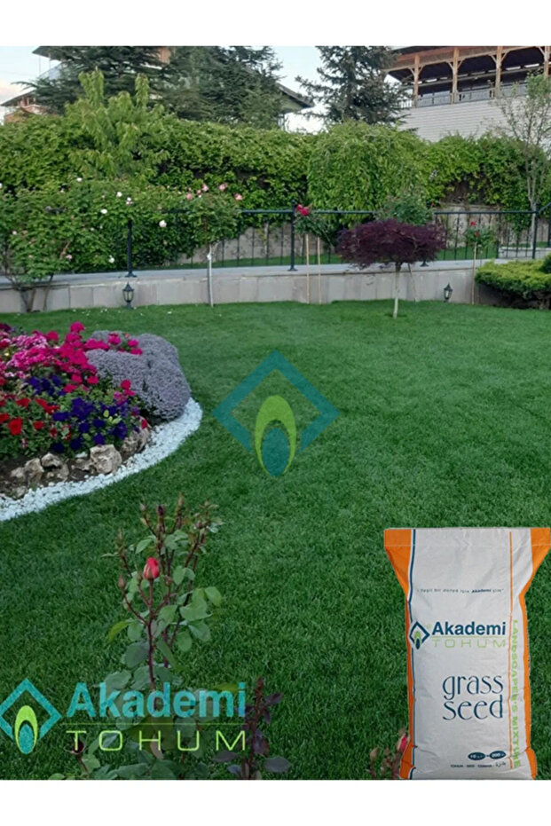 6a Premium ( 10 Kg ) - 2