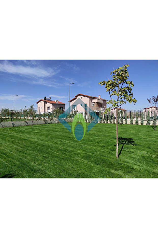 6a Premium ( 10 Kg ) - 3