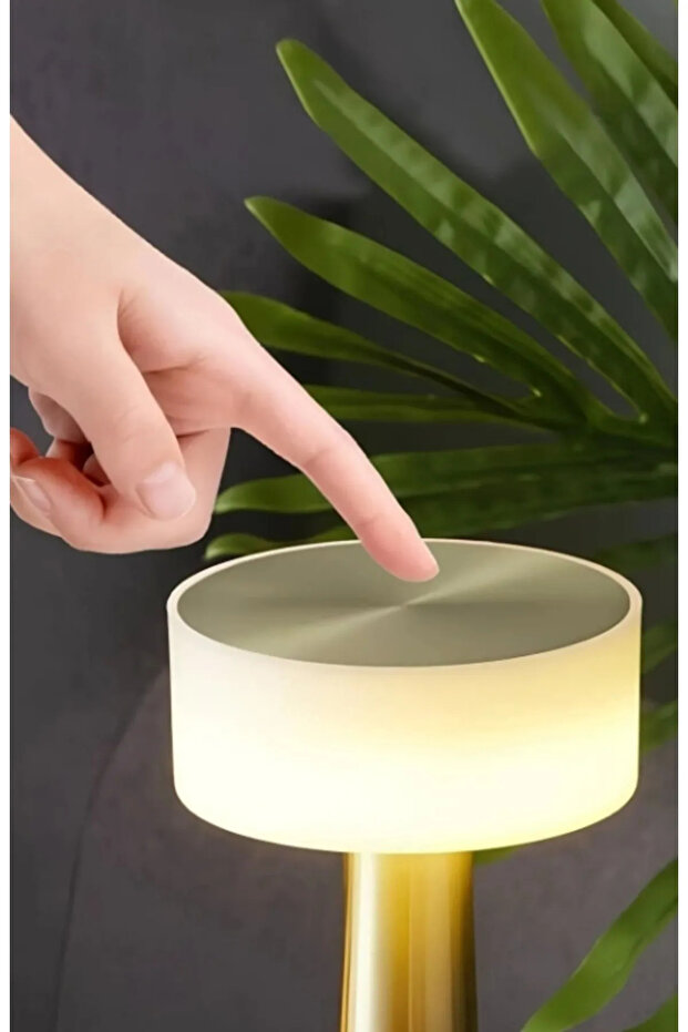 Denver Şarjlı Masa Lambası - 4