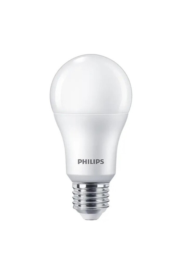 LED Bulb 120 W A 60 E 27 6500 K