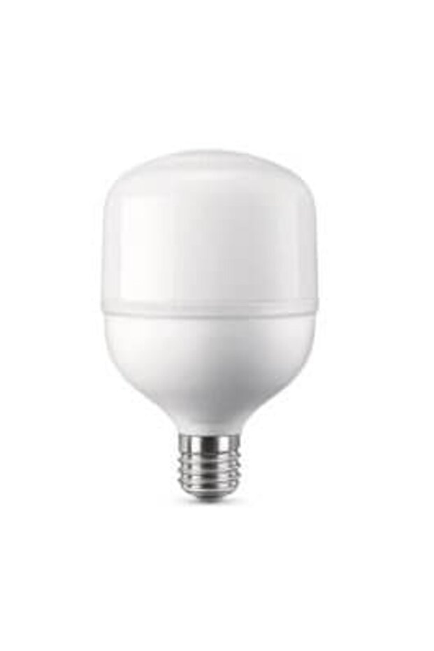 WINLIGHT WL-T20 20w Torch Led Ampül WINLIGHT - 1