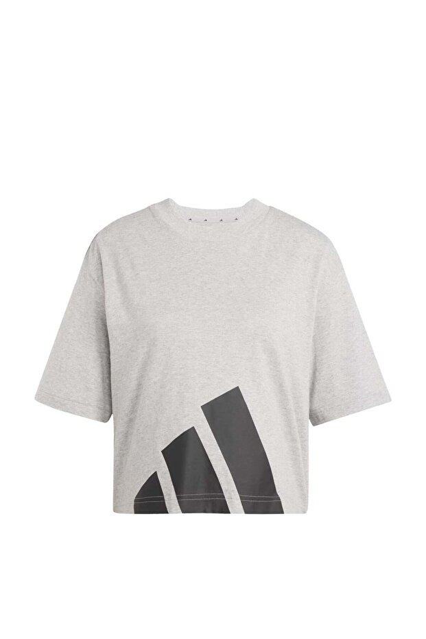 Sportswear Essentials Big Logo Boyfriend Crew Nect Short-Sleeve Kadın Tişört