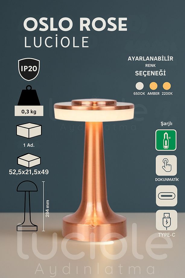 Oslo Rose Şarjlı Dokunmatik Dimlenebilir 3 Renk Masa Lambası - Type-C - 8