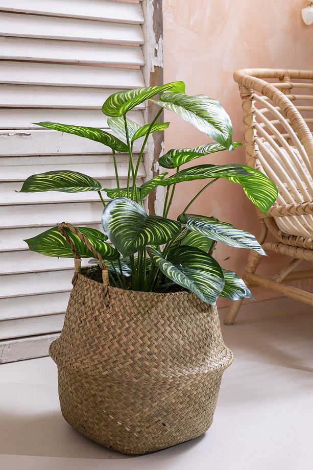 Yapay Salon Köşe Çiçeği Devetabanı Yeşil Sarı 65 Cm - 2