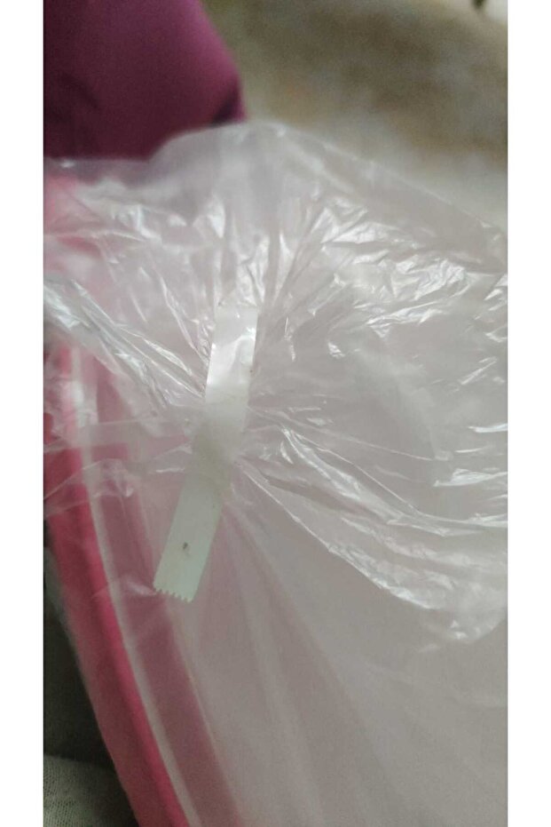 Akordiyon Pasta Fanusu - 1