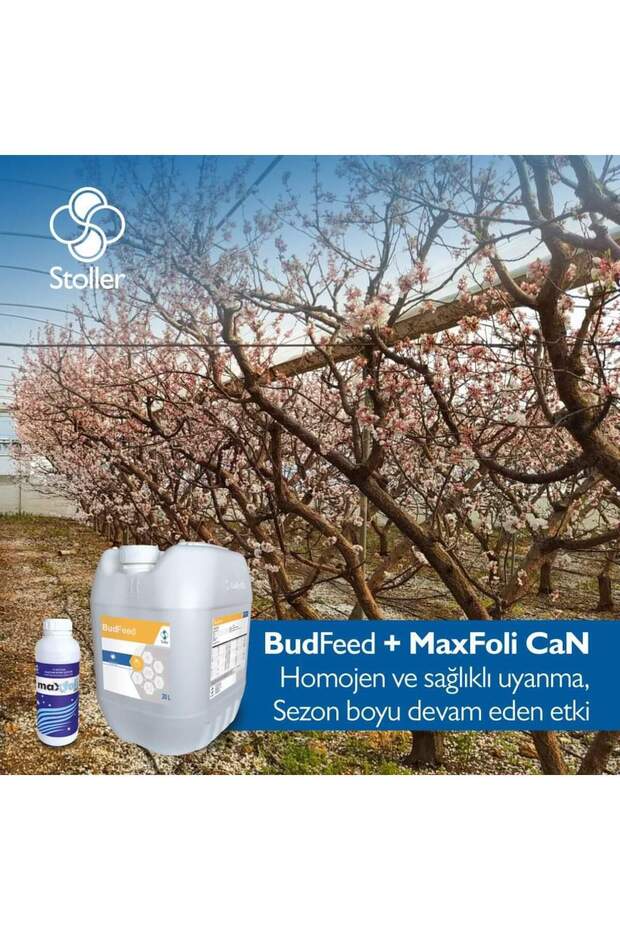 Bud Feed 20L - 1