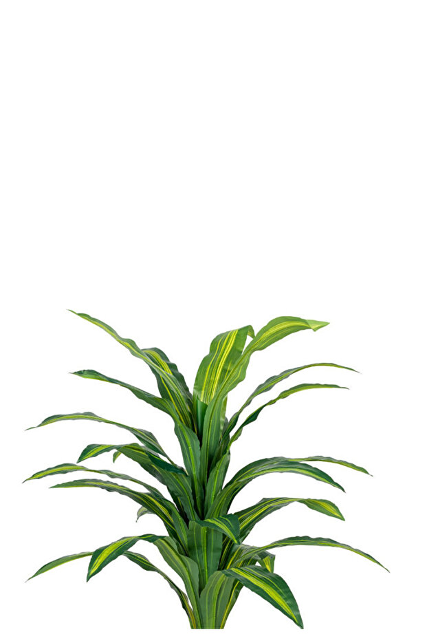 شجرة ورق ذرة فاتح بمركن بلاستيك اسطوانى - 2