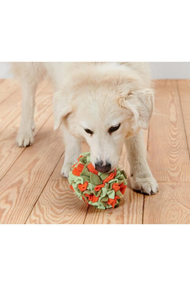 Hayvan Bulmaca Topu - 1