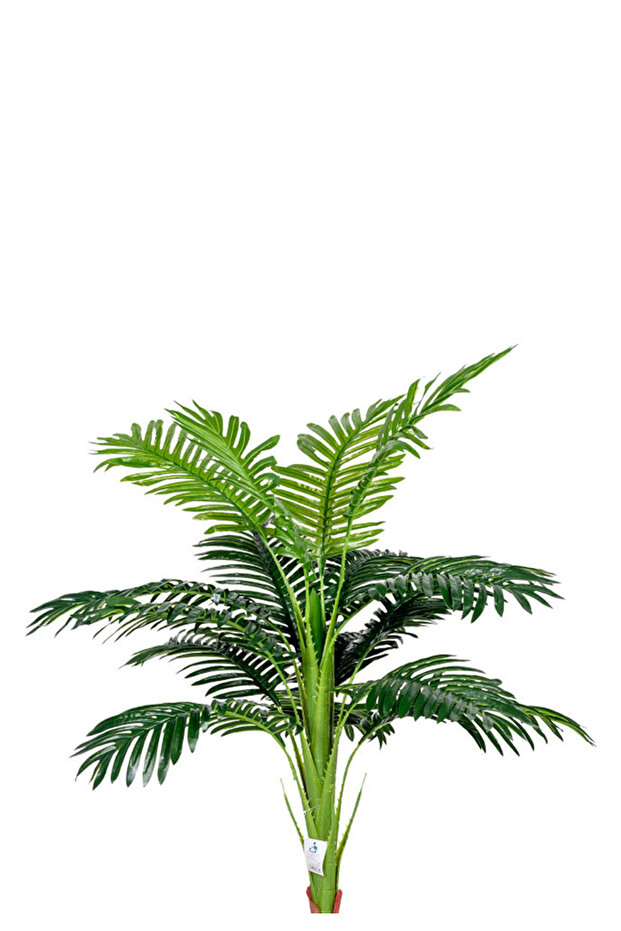 شجر أوراق النخيل بحوض بلاستيك - 2