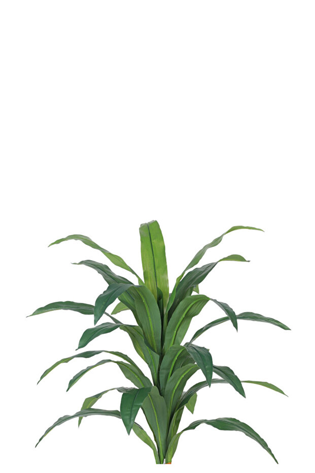 Green corn tree with a round plastic container - 2