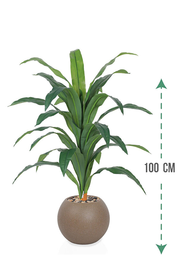 شجرة ذرة خضراء بمركن بلاستيك دائري - 1