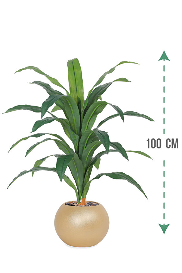 شجرة ذرة داكنة مع حاوية بلاستيكية مستديرة - 1
