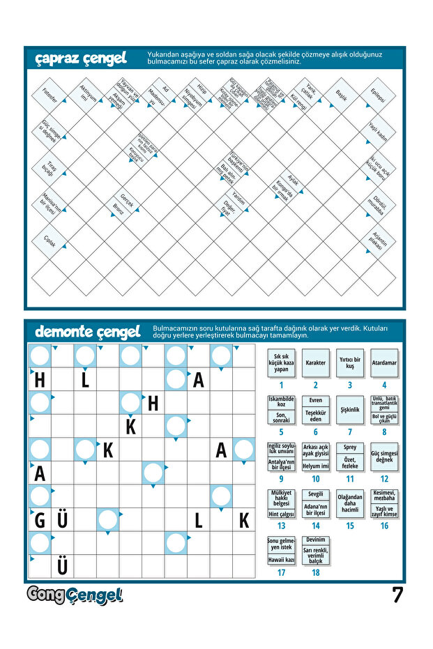 Çengel Bulmaca 012 - 7