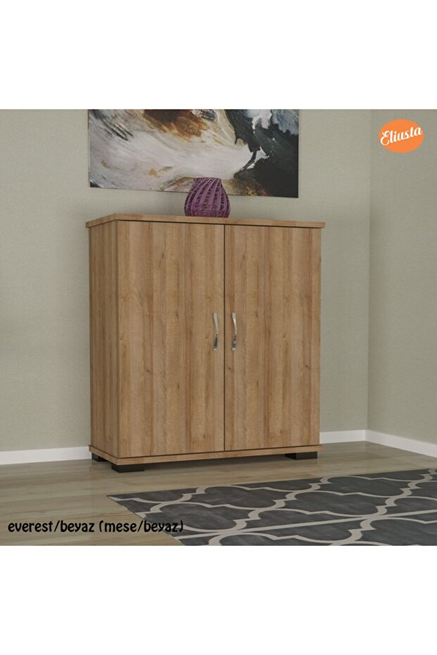 Ayakkabılık 2 Kapaklı Ayakkabı Dolabı Ard-113 - 5