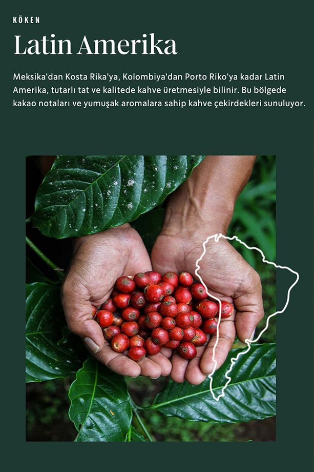 Decaf Blonde Espresso Kafeinsiz Kapsül Kahve Nespresso Uyumlu 55gx10 Adet Kapsül - 4