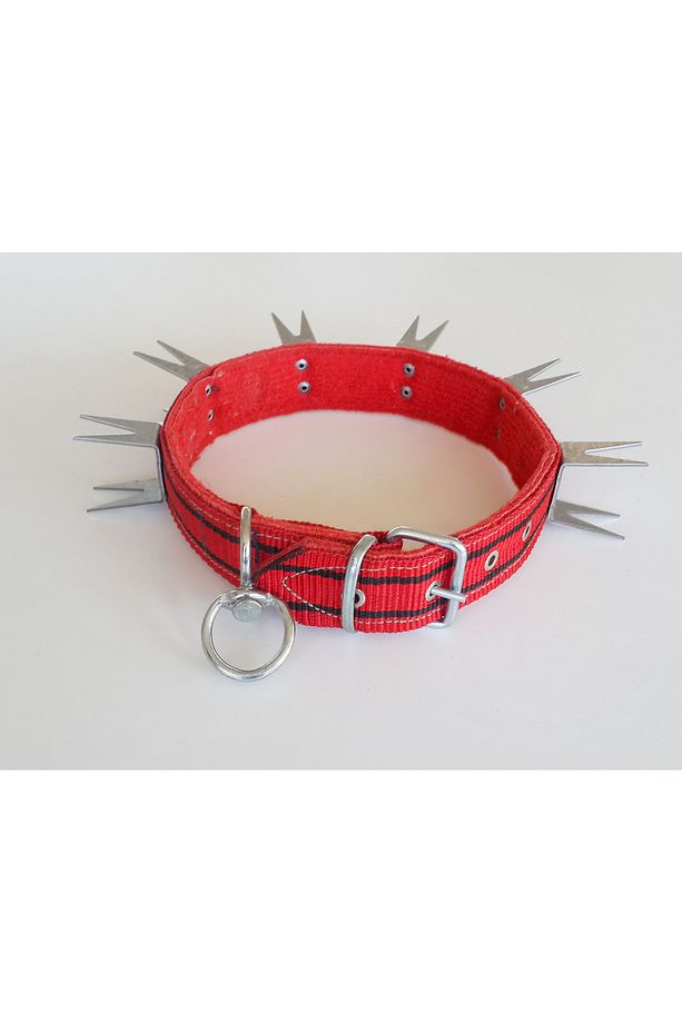 U Demirli 4 cm 75 cm Köpek Tasması - 1
