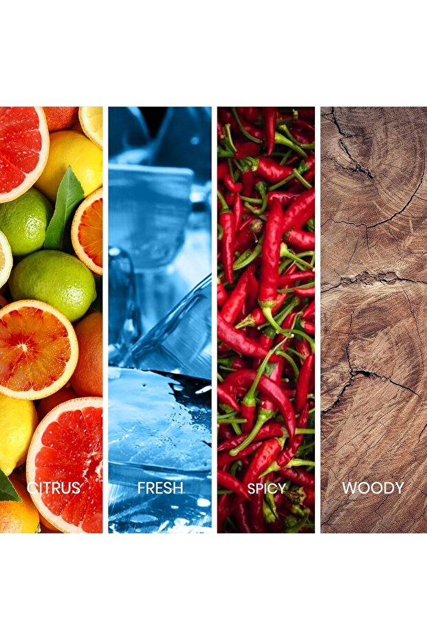 عطر سابيل سوليد للرجال 100 مل - 8