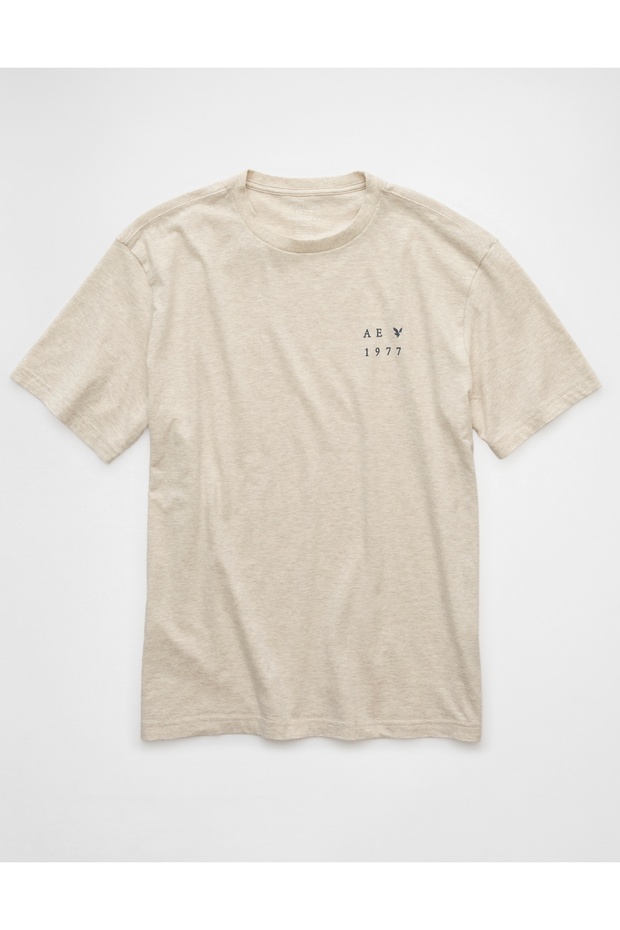 Ae Logo Graphic T-Shirt