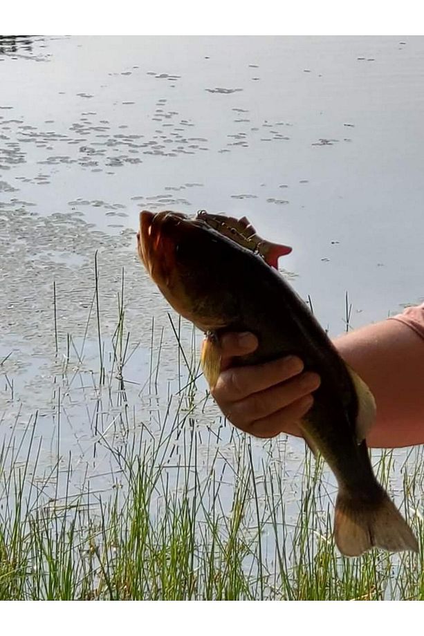 8 Eklemli 3d Oynak Rapala 13.5gr Sahte Balık Yem Wobblers Swimbait Tuzlu Ve Tatlı Su - 3