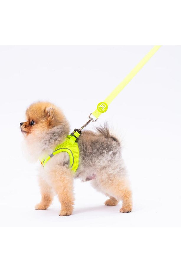Neon Sarı Leash Kedi Köpek Sevk & Gezdirme Kayışı Köpek Uzatma Tasması - 7