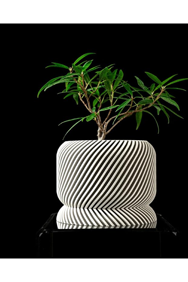 MODEN ŞIK TASARIM SAKSI - 2