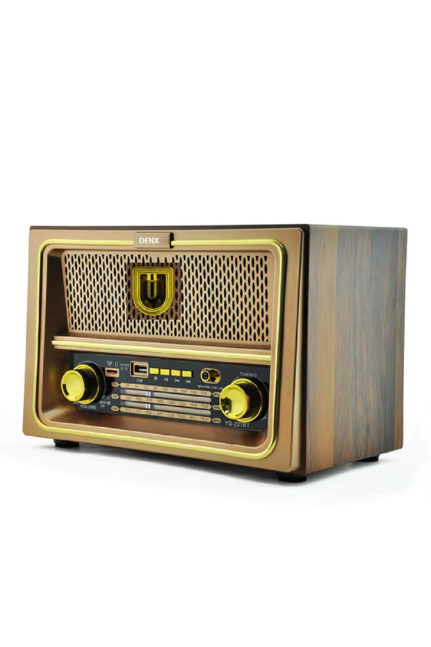 DX2444 Rechargeable HI-FI Radio with Remote Control, Large Capacity Battery - 3