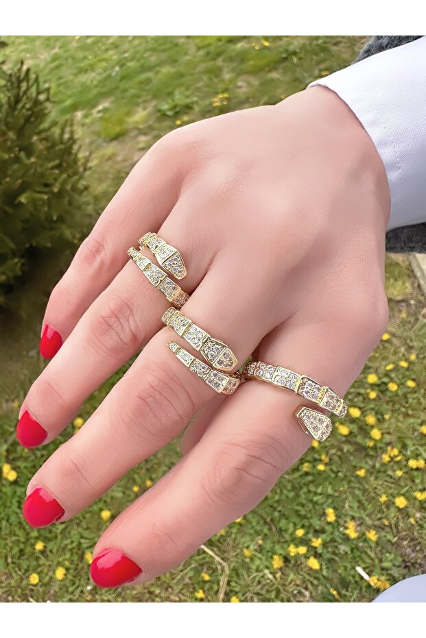 ثعبان نموذج الحجر الدائري - 1